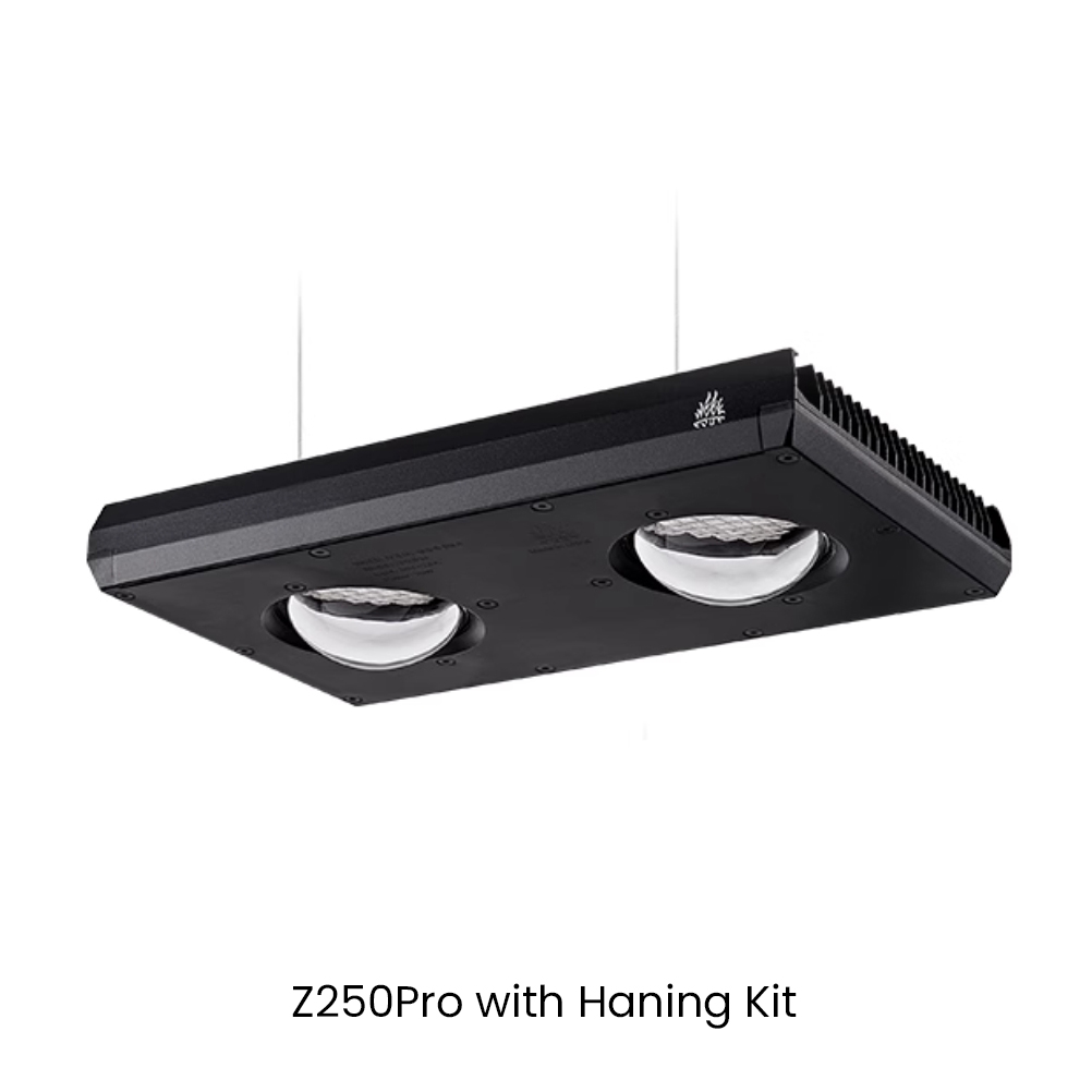 Aqua Marine Tank - Week AQUA Z250/Z400 シー LED リーフライト、Bluetooth