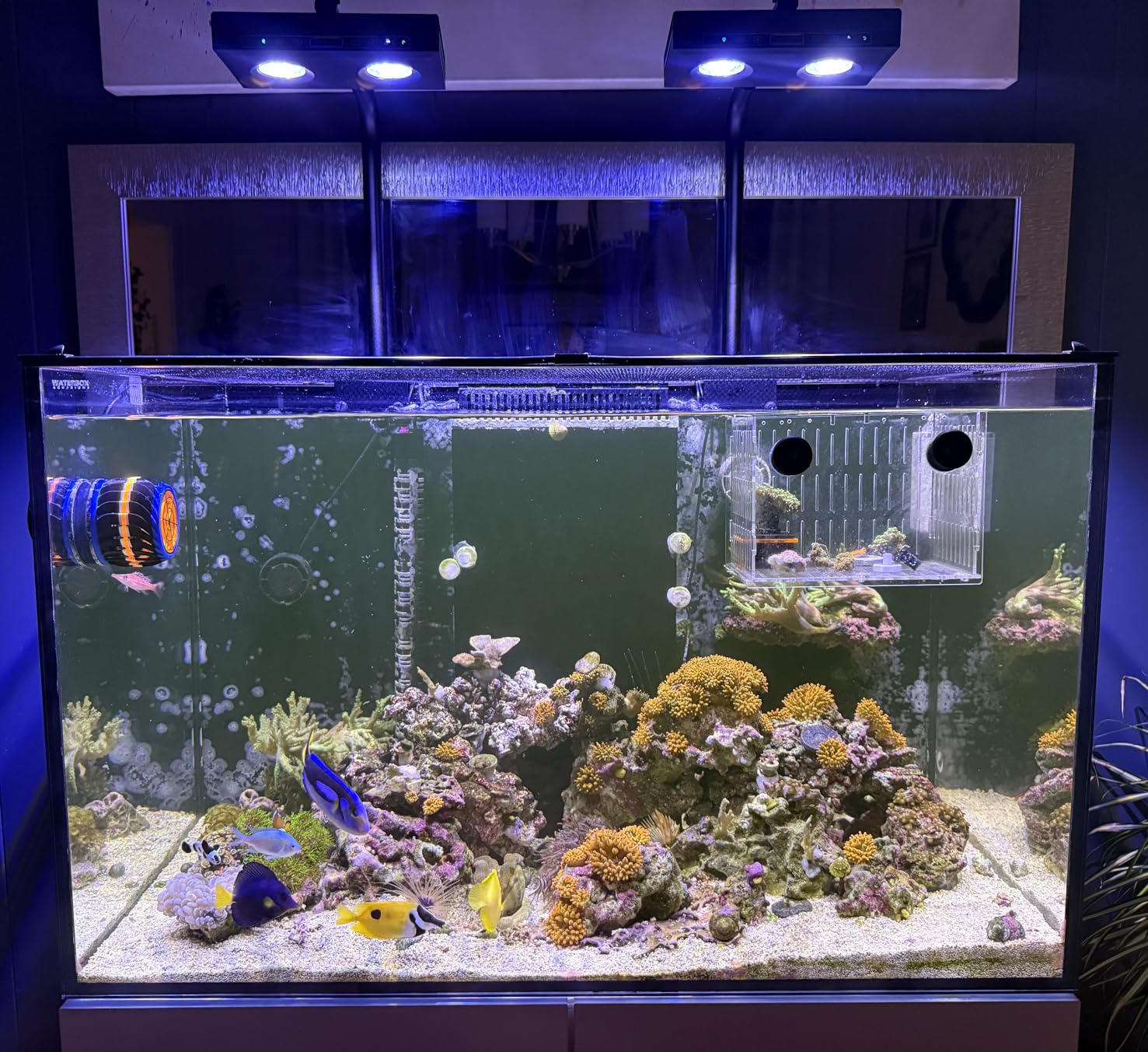 Aqua Marine Tank - ハイパワーDIYスペクトラム90W G5アクアスタータイマーLED水槽ライト海水魚タンクランプサンゴ礁LED