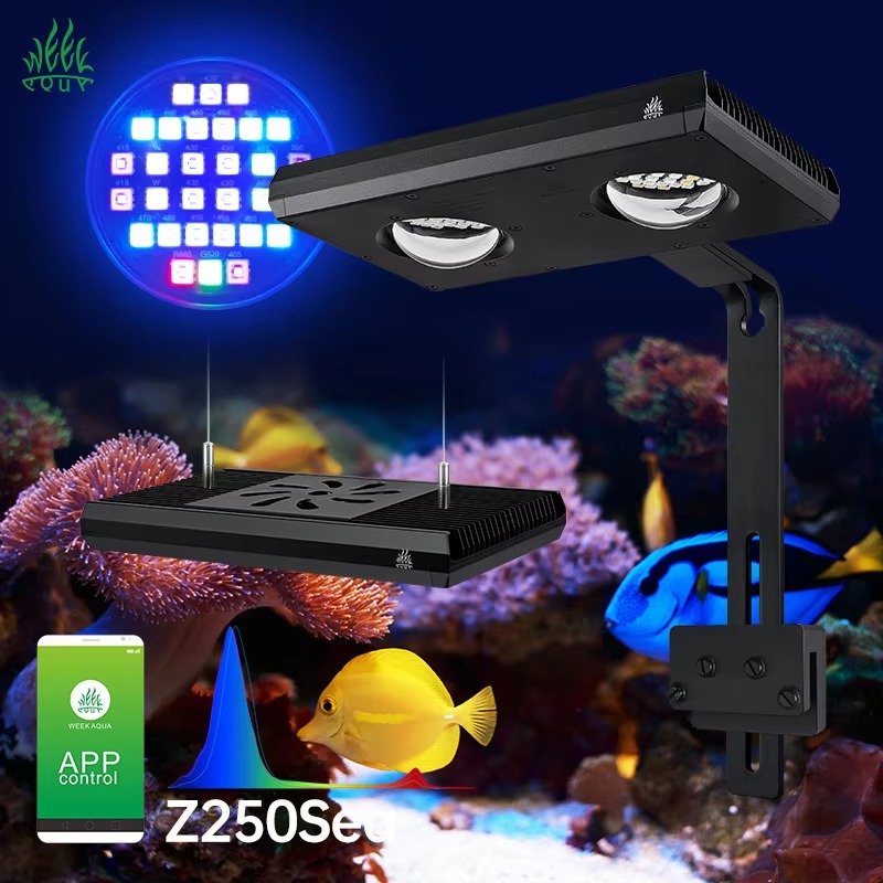 Aqua Marine Tank - Week AQUA Z250/Z400 シー LED リーフライト、Bluetooth