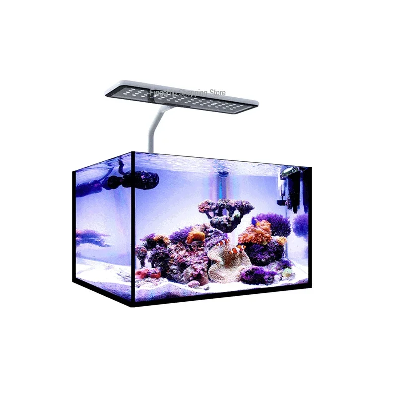 Micmol g2 aqua cc開梱水族館、水族館用のフル - Aqua Marine Tank のレビューと価格