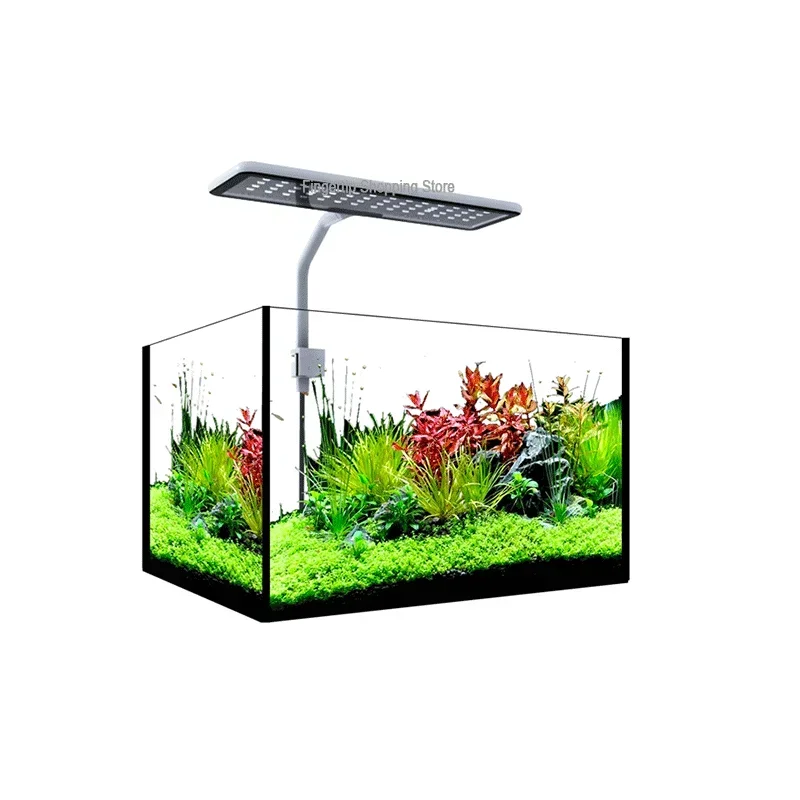 Micmol g2 aqua cc開梱水族館、水族館用のフル - Aqua Marine Tank のレビューと価格