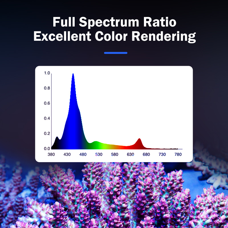ホットKASSRAY T169/T215 CREEs LED - Aquarium Marine のレビューと価格