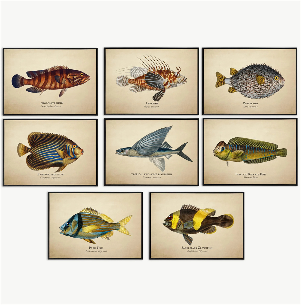 ヴィンテージ写真 熱帯魚 クラゲ 貝殻 海洋生物 抽象芸術  - Marine Life Aquariums のレビューと価格