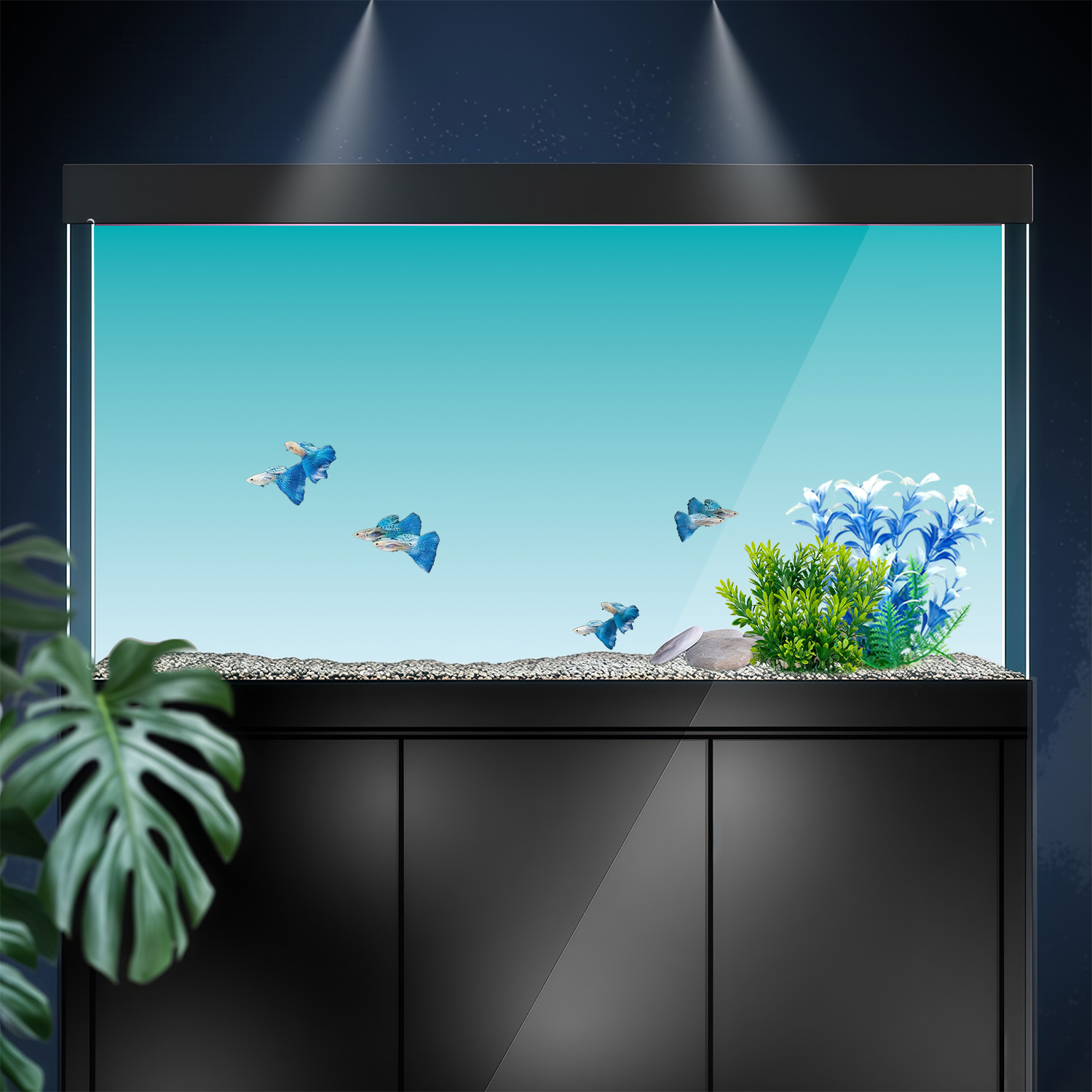 青と白のグラデーション、水槽背景画、水槽背景ステッカー、HD - Marine Aquarium Glue のレビューと価格
