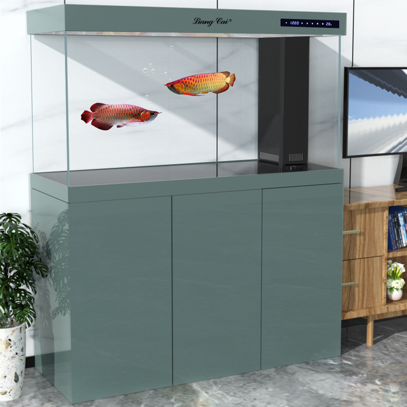 超透明モダンガラス水槽、大型魚や海洋生物用の高品質水中ポンプ - Marine Life Aquariums のレビューと価格