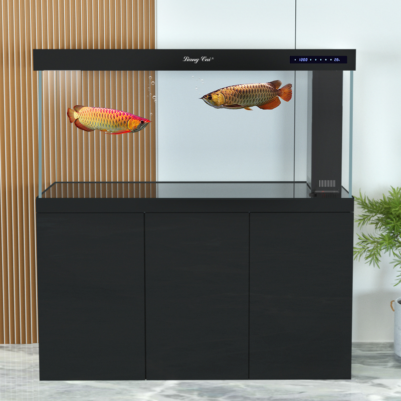 超透明モダンガラス水槽、大型魚や海洋生物用の高品質水中ポンプ - Marine Life Aquariums のレビューと価格