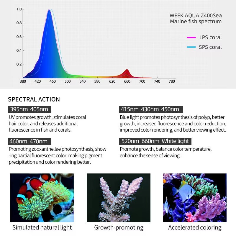 Week AQUA Z250/Z400 シー LED リーフ - Aqua Marine Tank のレビューと価格