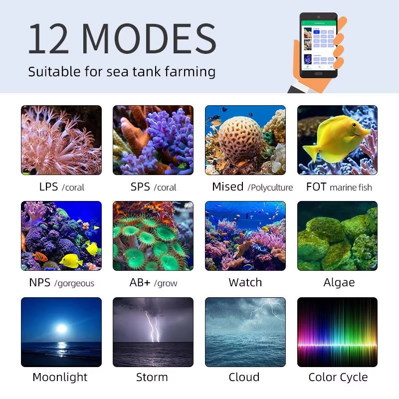 Week AQUA Z250/Z400 シー LED リーフ - Aqua Marine Tank のレビューと価格