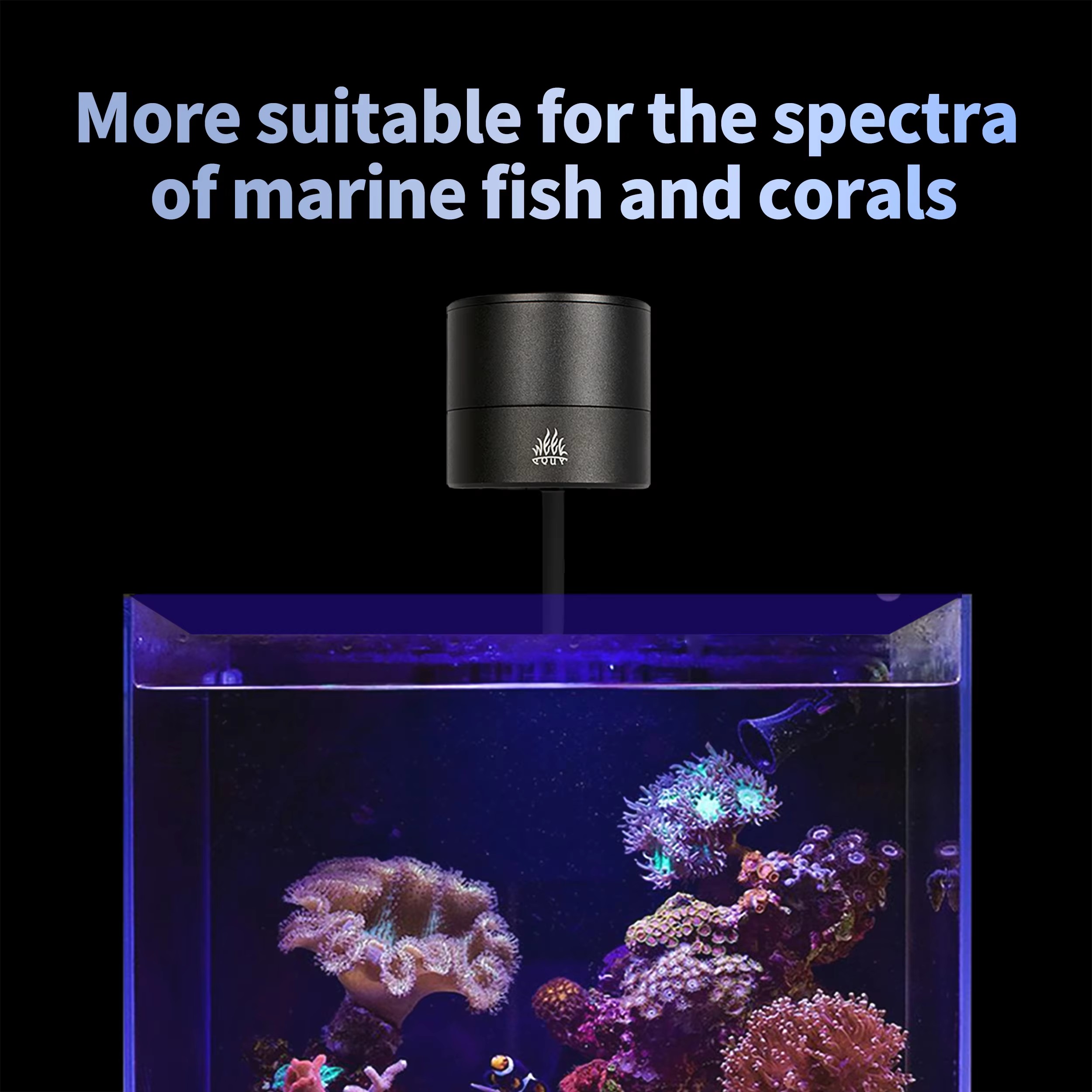 WEEK AQUA水槽ライトメーカー ブルーリーフライト L - Aqua Marine Tank のレビューと価格