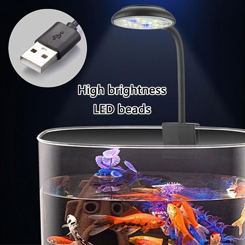 輝度を調整する輝きの導き照明ライトフルスペクトルフィッシュタ - Marine Life Aquariums のレビューと価格