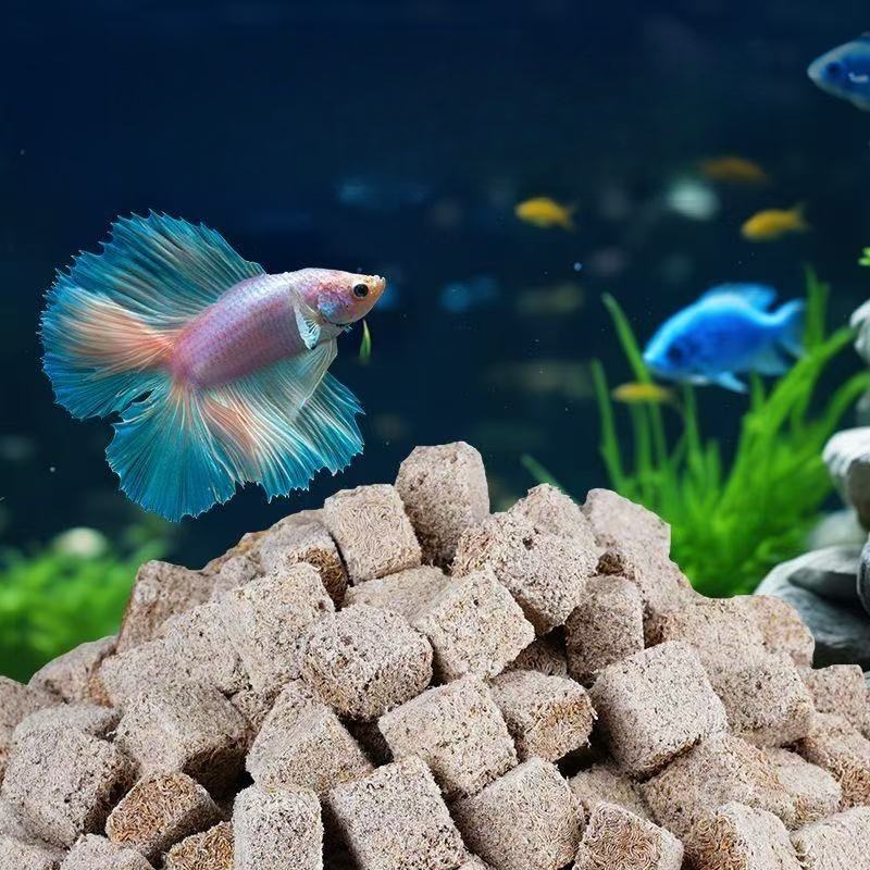 天然フリーズドライブラッドワームキューブ チュービフェックス - Marine Aquarium Worms のレビューと価格