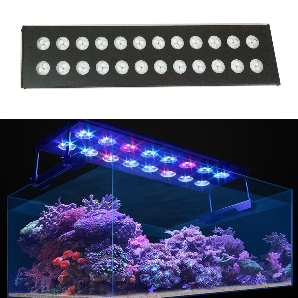 Spectra Aqua Helios WiFi プログラム - Aqua Marine Tank のレビューと価格